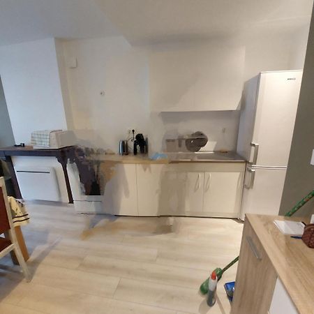 Residence Les Hortensias L4 Bourbonne-les-Bains Eksteriør billede